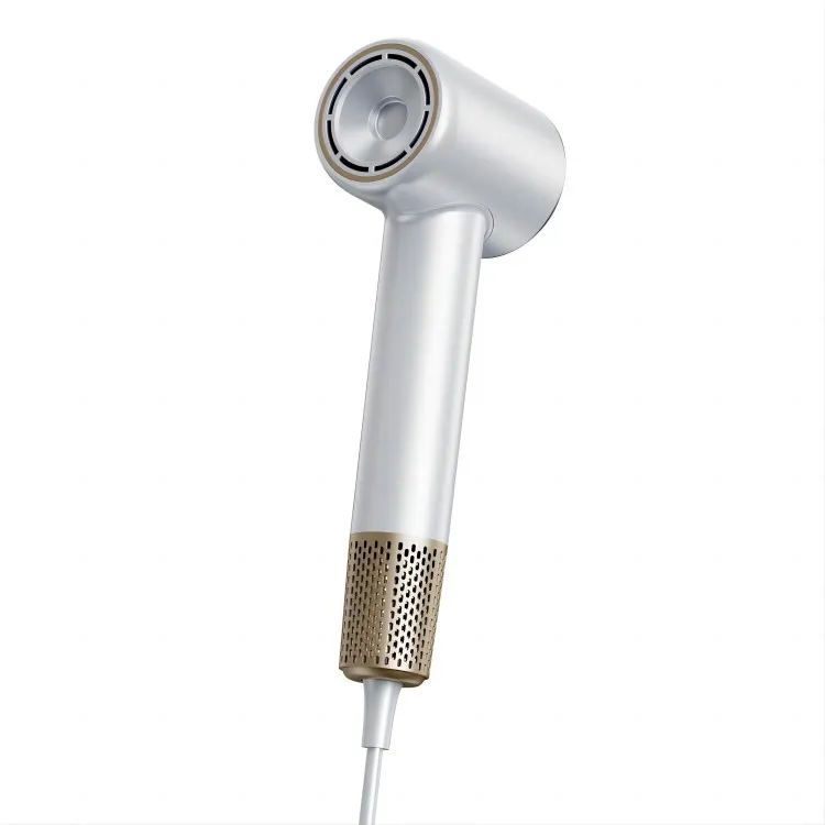 Pengering Rambut Peribadi Profesional